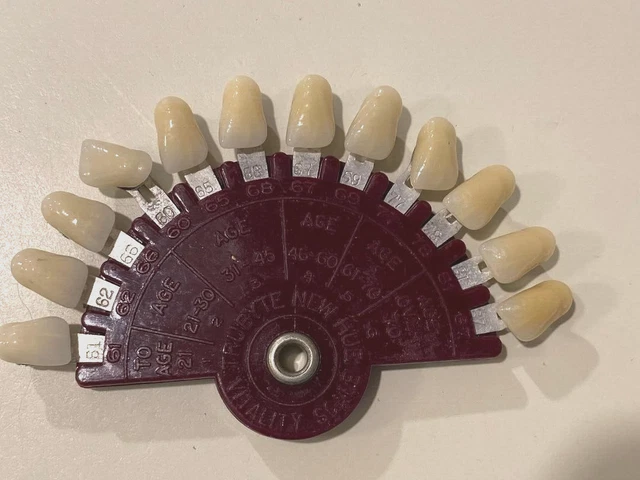 1) SHADE GUIDE Dentsply Limited Trubyte Bioform Dental Denture