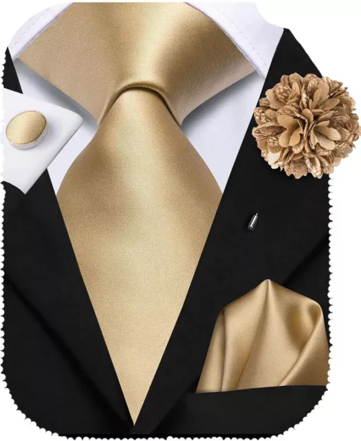 Hi-Tie Silk Mens Ties and Flower Lapel Pin Set Woven Necktie Pocket Square Cuffl