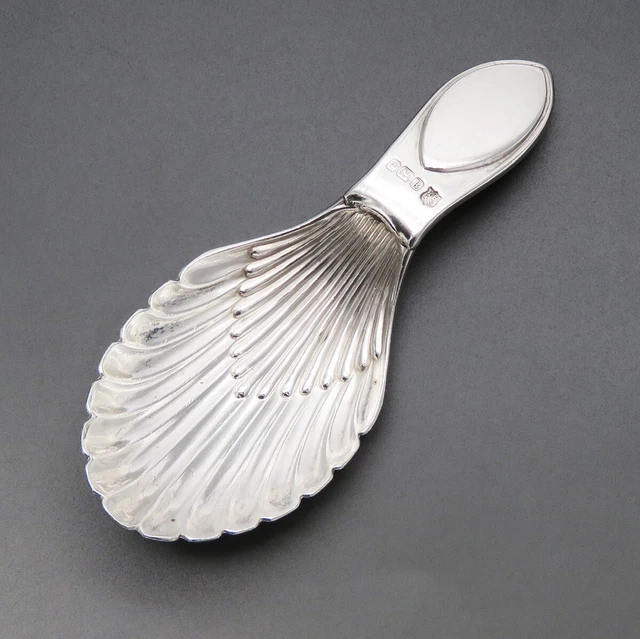 English Sheffield Sterling Silver Shell Tea Caddy Scoop 3 1/4 inches No Mono