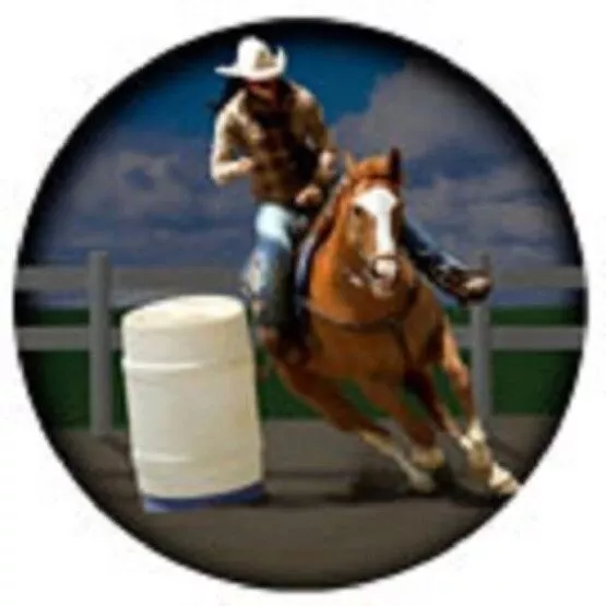 Vinyl BARREL RACER COWGIRL Horse Round Car Magnet...Clearance Priced