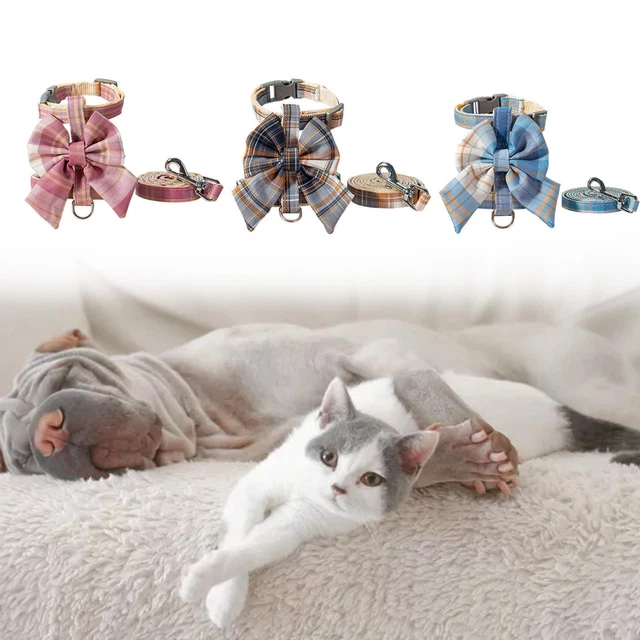 Harnais et laisse pour chat, harnais réglable pour animal de compagnie
