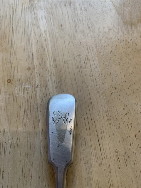 Silver Desert Spoon 2