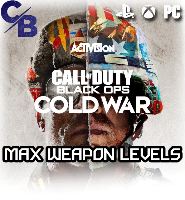 CALL OF DUTY Cold War Instant Max Weapon Levels EUR 11,45 - PicClick FR