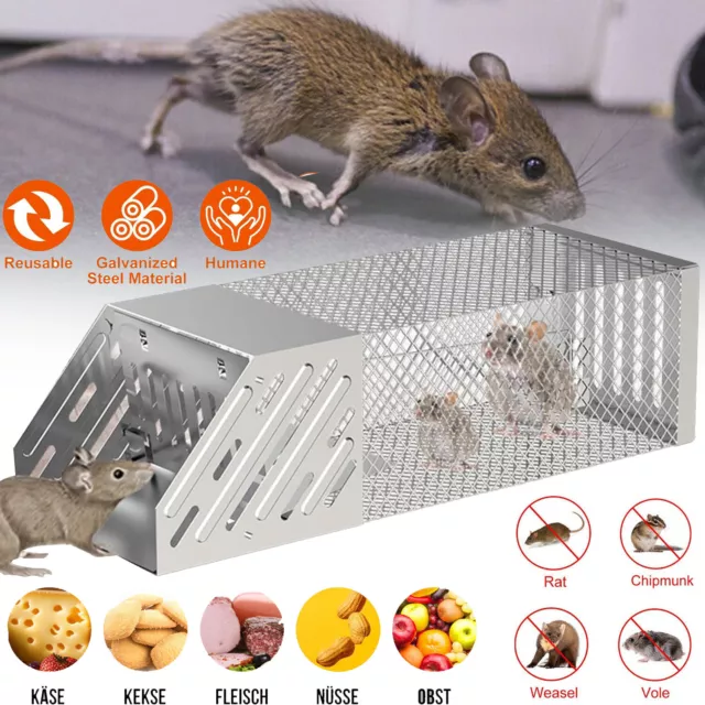 Marderfalle Ratten Massenfänger Alive Lebendfalle Rattenfalle Kastenfalle Ratte