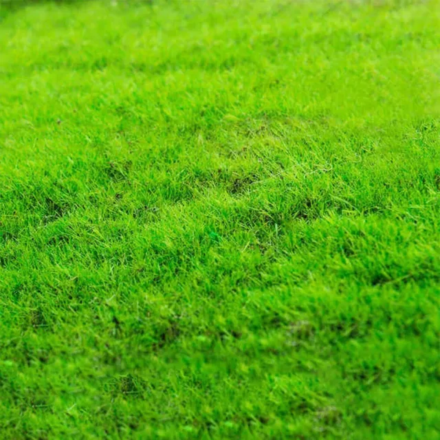 Créez un look naturel dans votre maison avec des tapis en gazon artificiel pour