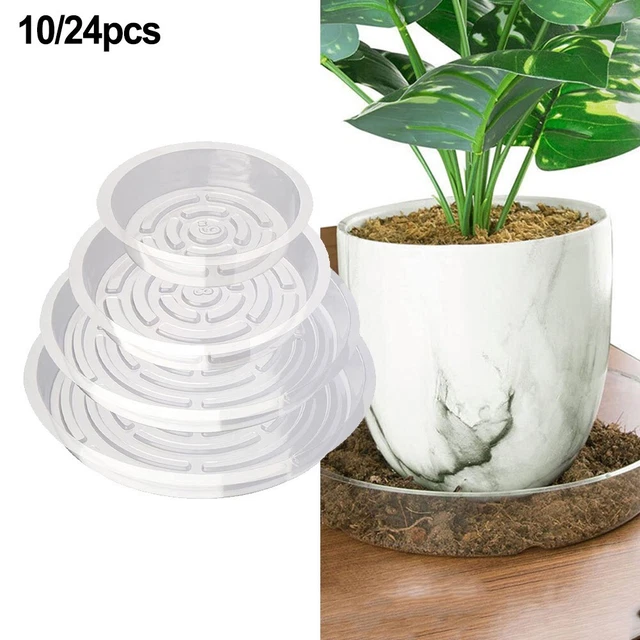 10 Soucoupes Transparentes Pour Pots De Fleurs 6 Pouces - Récupérateur D'Eau Pour Plantes D'Intérieur & Extérieur - 2