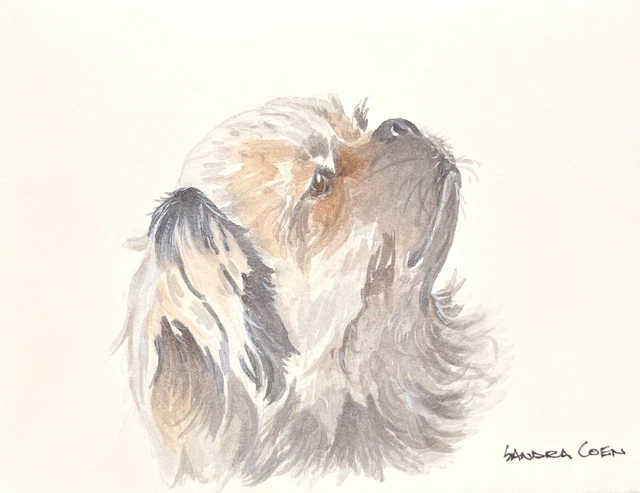 Tibetan Spaniel Original Watercolor by Sandra Coen Head Study