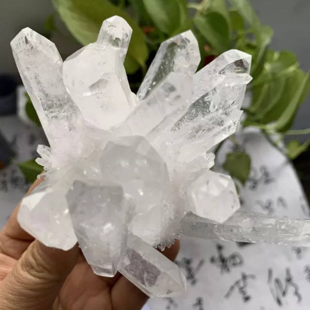 360 g Racimo de Cristal de Cuarzo Fantasma Blanco Recién Descubierto muestras minerales