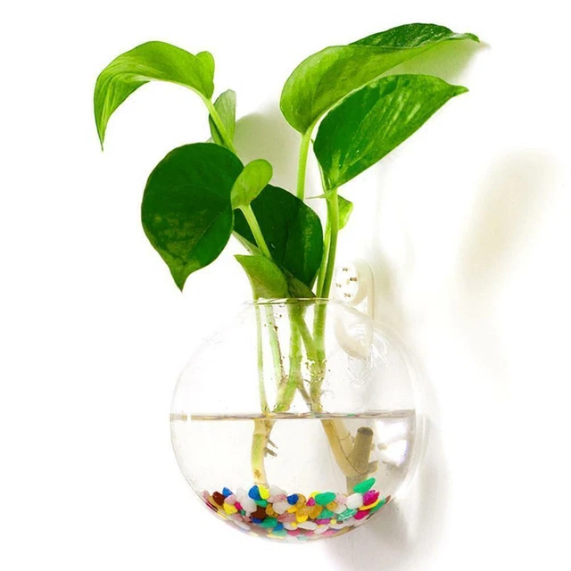 Wall Mounted Fish Tank Bowl Bubble Aquarium Hanging Goldfish Bet hot. U1P7 4