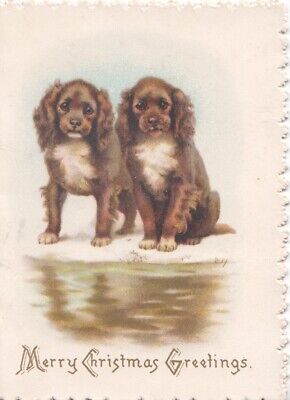 2 puppies one stands, one sits across water, Maguire ?, Tuck Christmas card