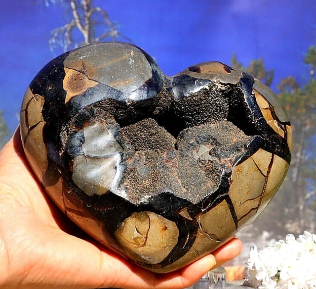 Huge Septarian Nodule Heart Polished Geode Natural Raw Healing Mineral 2004g