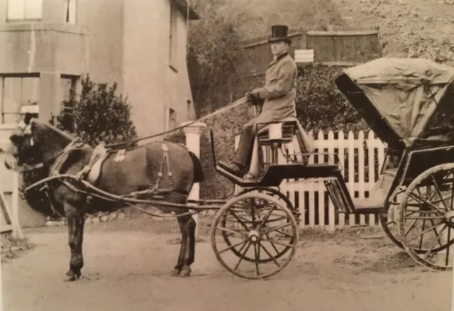 HORSE DRAWN FLY CARRIAGE, in SANDGATE c.1900, Kent County Library 1980s POSTCARD