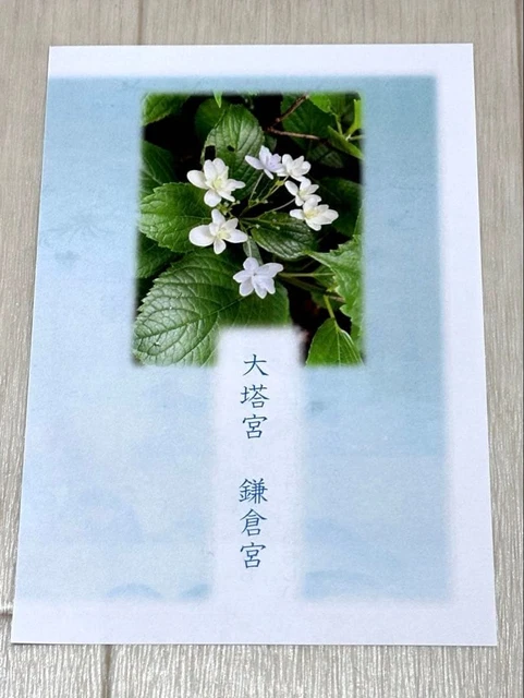 GOSHUIN STAMP SHRINE Hello Kitty Limited Edition Goshuin Kamakura ...