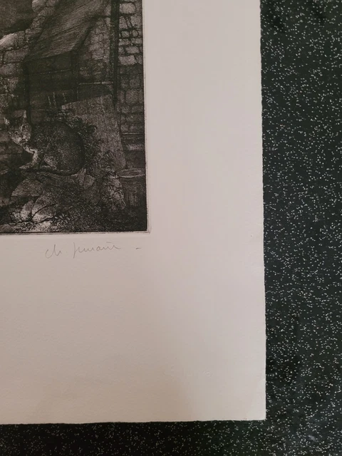 Lithographie signée et numérotée décor d'oiseau et de chat signature à identifie 9