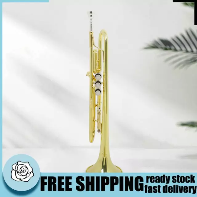 Professional Trumpet Creative Bb B Flat Trumpet Instrument for Student Beginners