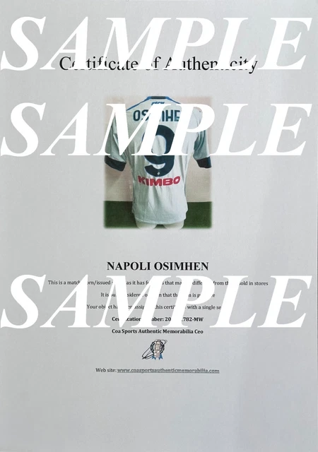 Maillot Vintage SS Lazio – Sans Sponsor, époque 90s/2000s (occasion)