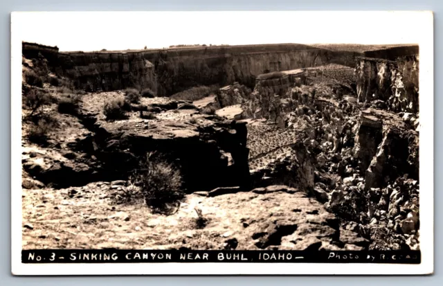 RPPC Postcard Buhl Idaho Sinking River Canyon Ecology Photo By R Coad c1950