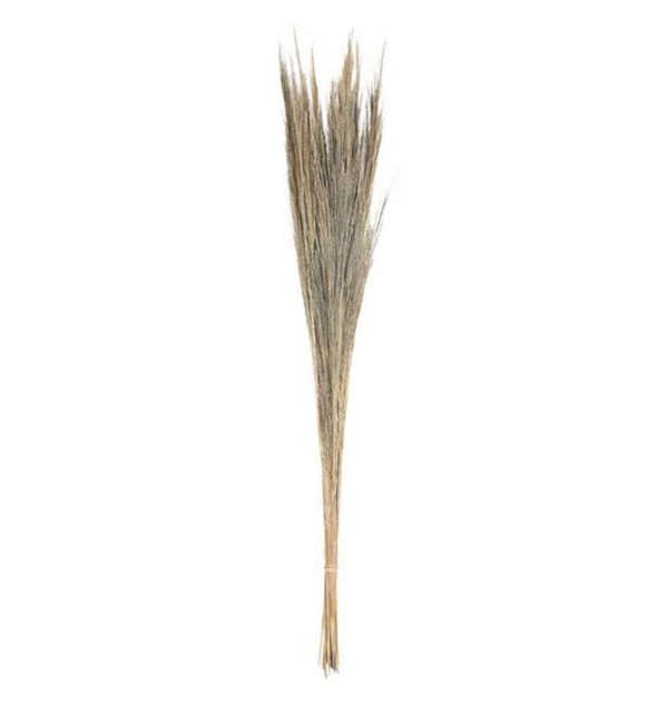 Bouquet d'Herbes Séchées 100cm - Coloris Beige