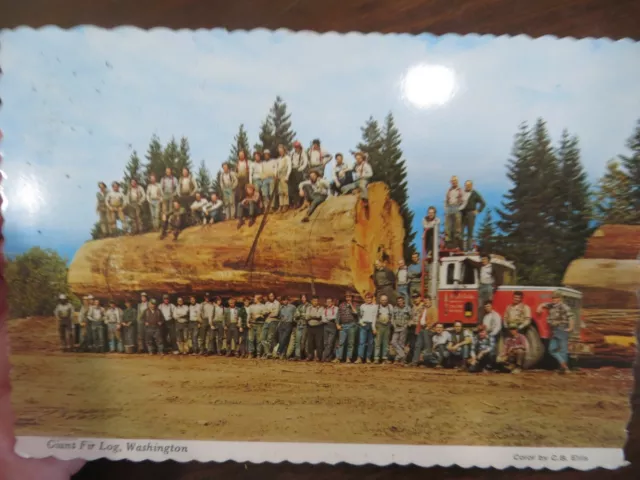 Giant Fir Log,Washington ,Monster 1St Growth Log On Old Semi Truck W54 Post Card