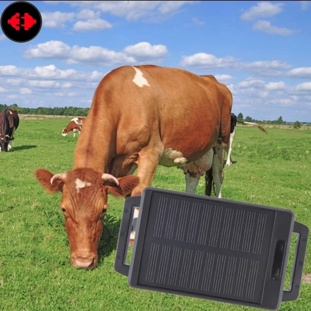Localizzatore GPS intelligente impermeabile per animali domestici Localizzatore