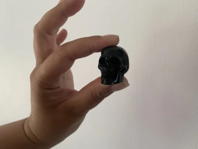 Oddities / Skull Human Carved Horn Of Buffalo