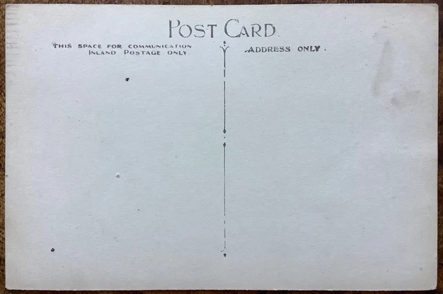 Rppc Mrs W W Sandeman O.b.e Opening 1920 Preston Midsummer Fete Brighton Sussex 2