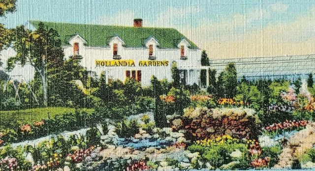 c1930 Hollandia Gardens South Vienna Ohio Linen Advertising Postcard Nursery