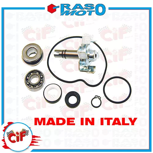 Kit Revisione Pompa Acqua T-MAX 500 2006
