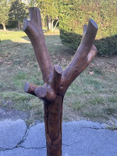 Porte Manteau Art Populaire Ancien Bois Arbre Perroquet Patère Bergerie Campagne 2