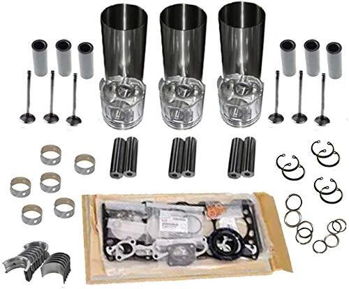 Rebuild Kit For Kubota D902 Engine RTV900G RTV900G9 RTV900R RTV900R6 Vehicle