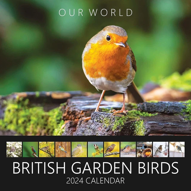 OUR WORLD BRITISH Garden Birds Wall Calendar 2024 Family Planner 30 x