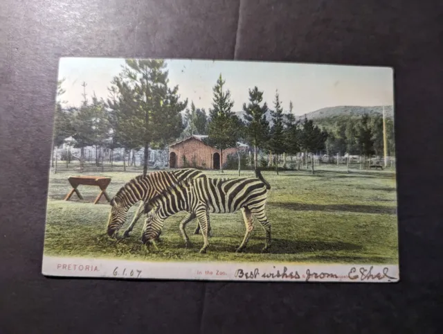 1909 British Transvaal South Africa Postcard Cover Pretoria to Tasmania
