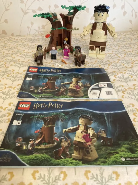 LEGO Harry Potter 75967: Foresta Proibita. Umbridge's Encounter. Completo