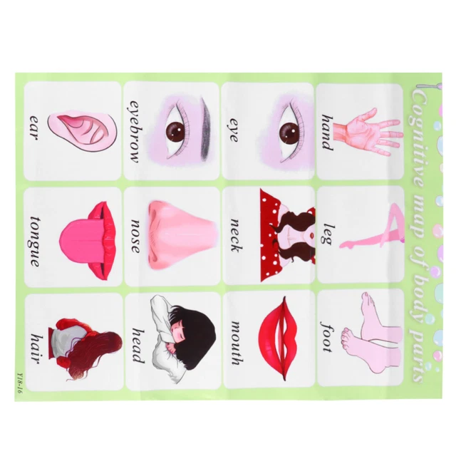 EARLY EDUCATION WALL Map Teaching Chart School Supplies Kit Kids Toys ...