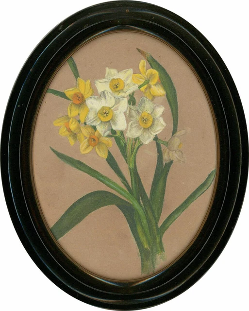 Late 19th Century Watercolour - Tete-a-Tete Daffodils