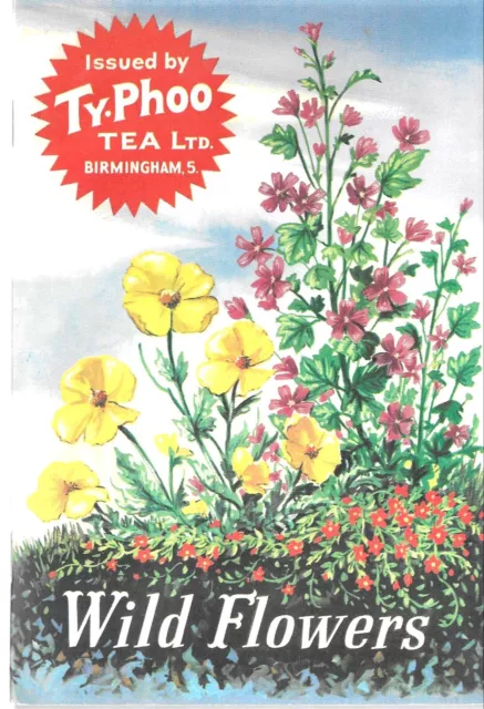 Typhoo Tea -Wild Flowers 1963 in album