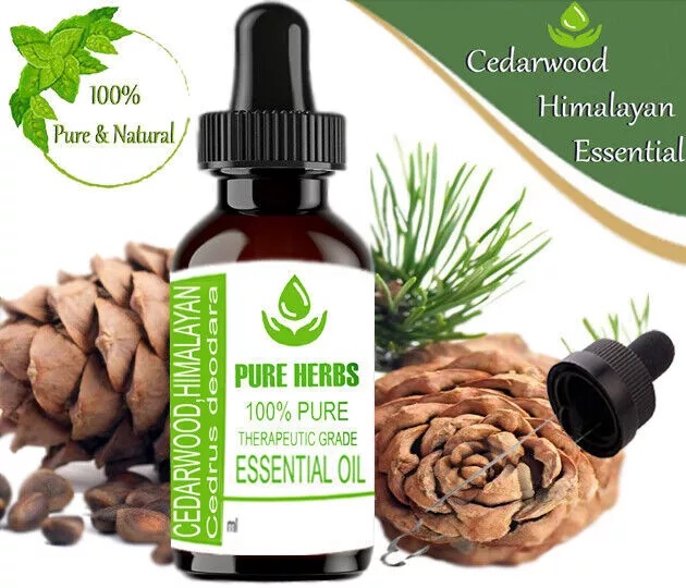 Pure Herbs Cedarwood Himalayan 100% Pure & Natural Cedrus Deodara Essential Oil