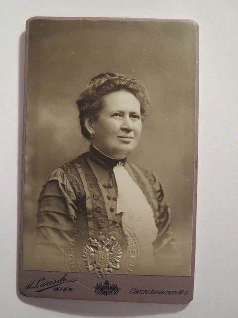 Vienna 1913 - donna Marie Bock - carta d'identità - timbro conio Nordwestbahn / CDV