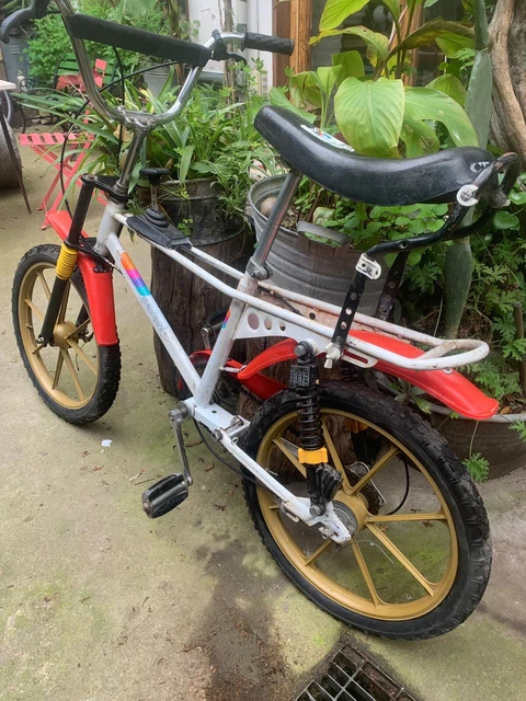 Safari 5000 Bici Chiorda Da Passeggio Stelbel Rodano 2021