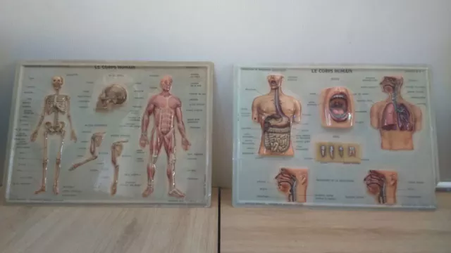 Two Antique Planches Medical Process Patented. Two Old Medical Boards