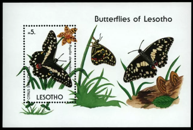 Lesotho 1990 - Mi-Nr. Block 71 ** - MNH - Schmetterlinge / Butterflies