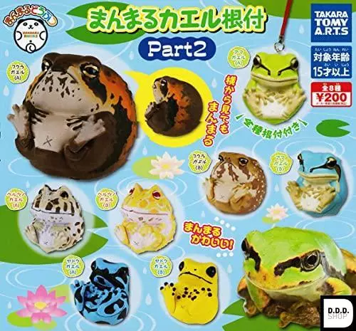Rund Frosch Netsuke Part2 Alle 8 Auswahl Set Gashapon Spielzeug