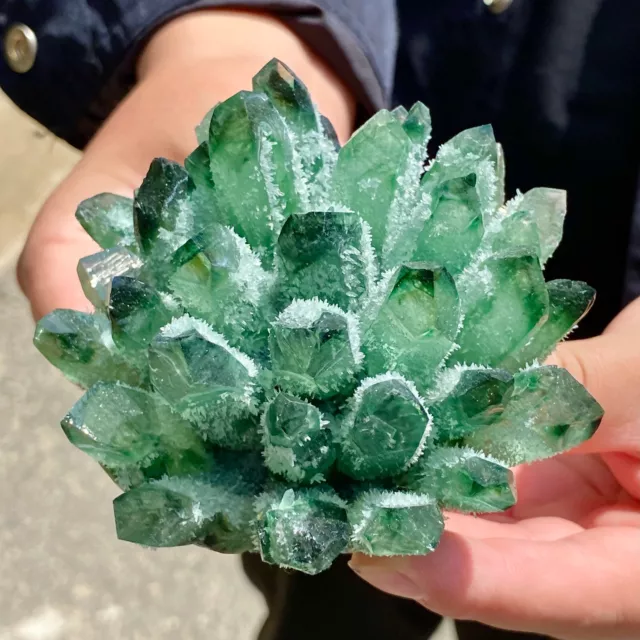 443G  New Find Green Phantom Quartz Crystal Cluster Mineral Specimen Healing