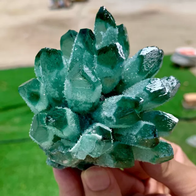 405G New Find Green Phantom Quartz Crystal Cluster Mineral Specimen Healing