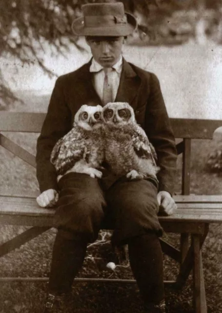Antique Creepy Owl Boy Photo 1784b Oddleys Strange & Bizarre