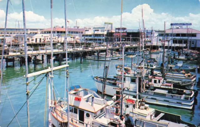 San Francisco CA, Fisherman's Wharf, Fishing Boats, Lagoon, Vintage Postcard