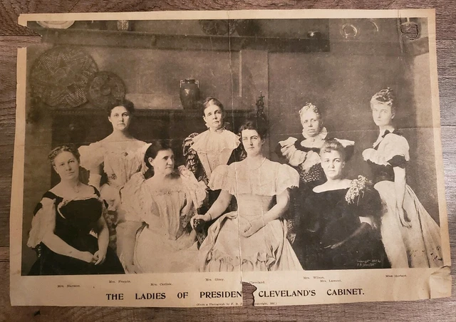 WHITE HOUSE PICTURE President Cleveland's Ladies Cabinet 1897 Newspaper press