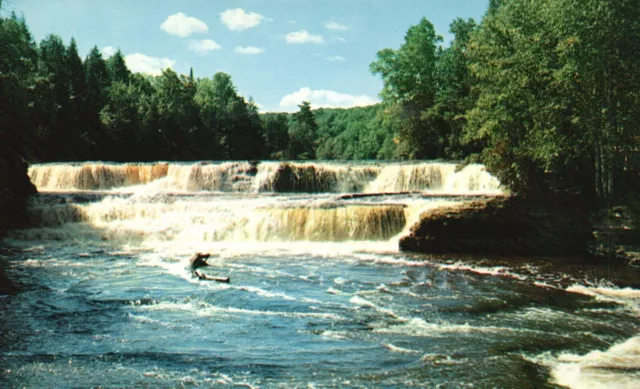 Michigan, MI, Lower Falls of Tahquamenon River, Vintage Postcard b1355