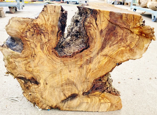 Olivenholz, Olive, Holz zum Basteln, Schnitzen, Drechseln, 23,6 KG Deko-Objekt