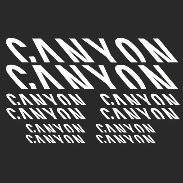 FITS CANYON Vinyl Stickers Sheet Bike Frame Cycle Cycling Bicycle Mtb Road